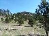 Medicine Mountain