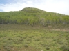 Pole Hill