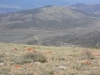 Mountain Home