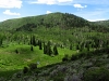 Middle Mountain