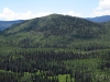 Middle Mountain