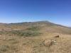 Coal Mountain
