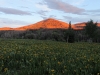 Wolf Mountain
