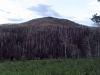 Wolf Mountain