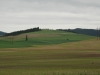 Palmer Butte