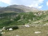 Buckskin, Mount
