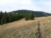 Petty Mountain