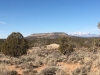 Skein Mesa