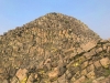 Pickett Peak