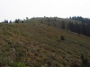 Munger Mountain