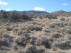 Middle Range (HP)