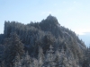 Cougar Mountain