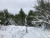 Hemenway Hill