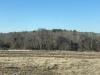 Brigham Hill