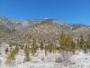 "Amargosa Overlook"