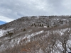 "Coffee Pot Hill"