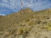 Ranger Peak
