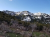 Mine Camp Peak