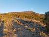 Thorpe Hills