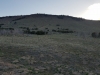Davis Knolls