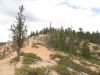 Buck Knoll