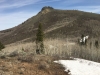 Bakers Peak