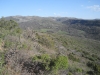 North Mountain