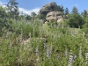 Plymouth Mountain