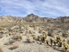 Chemehuevi Peak