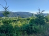 Sheridan Peak
