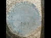 Ant Hill, The