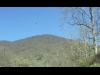 Greenlee Mountain