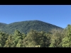 Greenlee Mountain