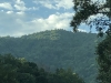 Piney Mountain