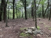 Roaring Mountain