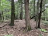 Clark Mountain