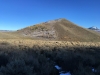 Mule Mountain