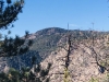 Sheep Mountain