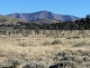 Dog Valley Peak