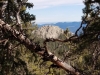 Vance Peak