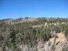 Redondo Border