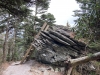Grandfather Mountain