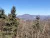 Jefferson, Mount
