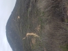 Jamul Mountains (HP)