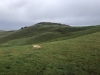Red Hill Top