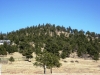 Logan Hill