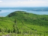 "Duckadosie Hill"