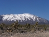 Willow Peak