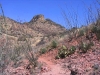 Atascosa Lookout