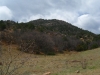 Little Crampton Mountain